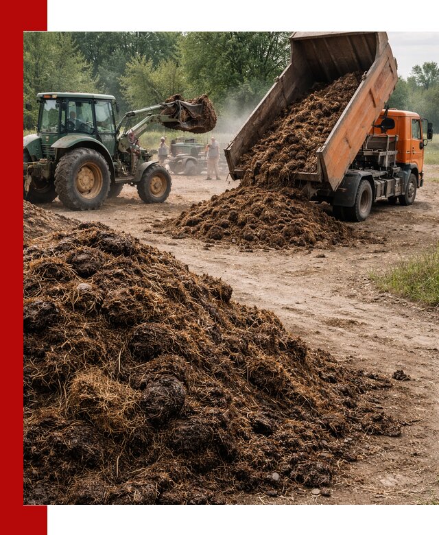 Доставка навоза самосвалами в Прокопьевске для сельхозпотребностей