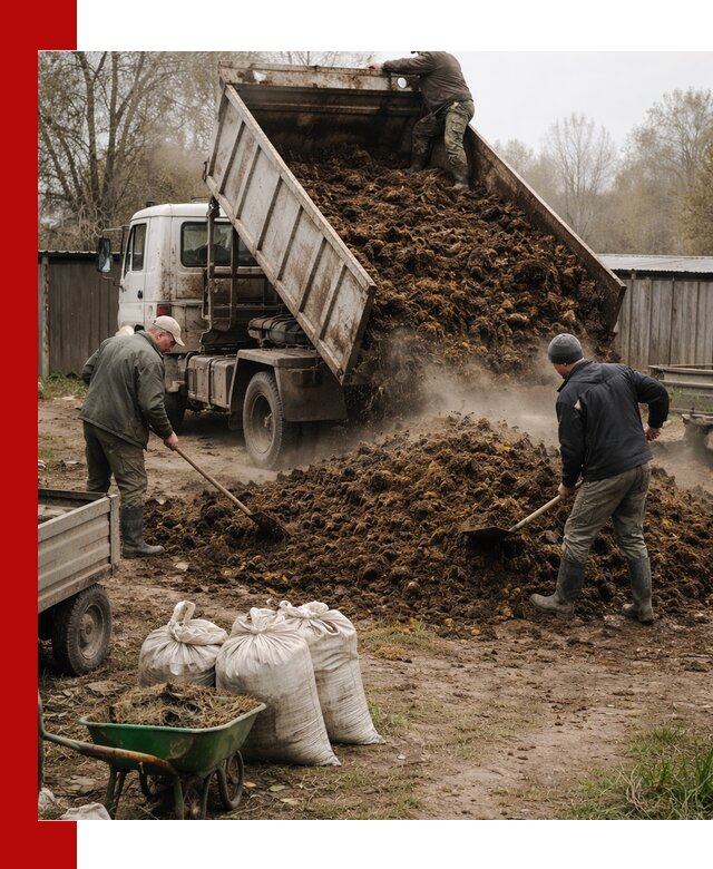 Доставка коровьего навоза самосвалом в Прокопьевске